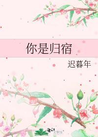你是我的归宿也是