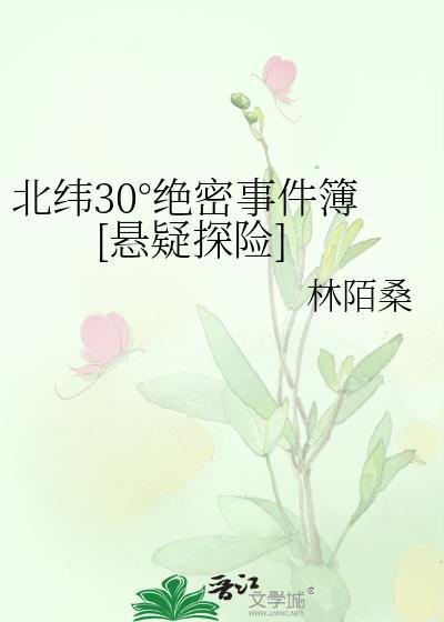 北纬30度绝密事件簿TXT