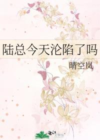 陆总今天要离婚剧情介绍