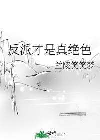 反派才是真绝色TXT作者已书
