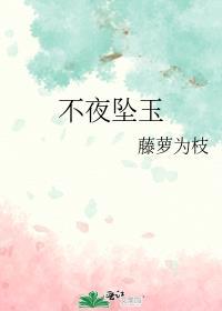 不夜坠玉免费完整版