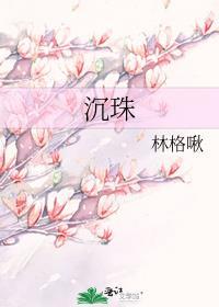 沉珠珠著