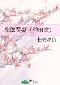 柴郎贤妻全文笔趣阁