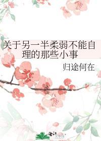 柔弱不能自理的老婆有亿点强