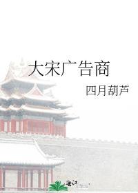 大宋标志