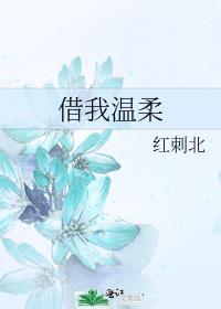 借我温柔在线