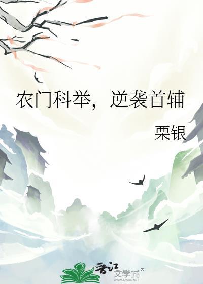 农门科举沈玠