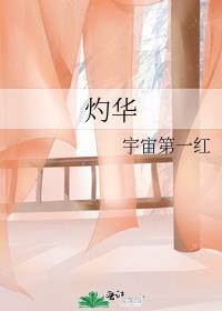 灼华电视剧