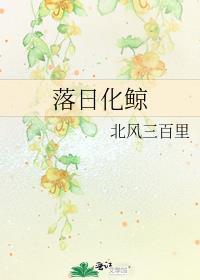 落日与鲸十九叔最新章节