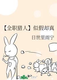 全职猎人纯爱