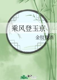 乘风登玉京晉江