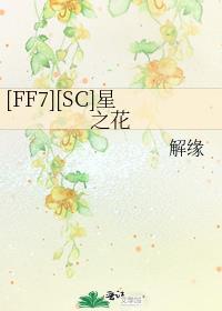 ff7星之启示怎么获得