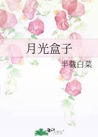 月光盒子半截白菜全文免费阅读无弹窗