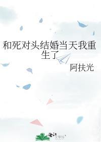 和死对头结婚当天我重生了电子文档