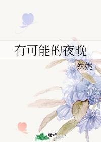 有可能的夜晚电视剧