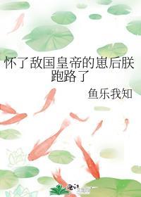 怀了敌国国君的崽后朕逃了免费阅读