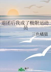 退网后我成为极限运动选手 宗乐