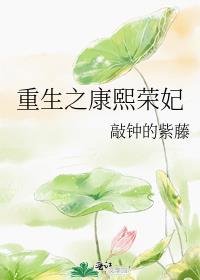 重生之康熙荣妃大宴
