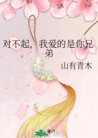 对不起我爱你是什么歌?