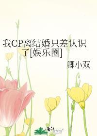 我CP离结婚只差认识了番外
