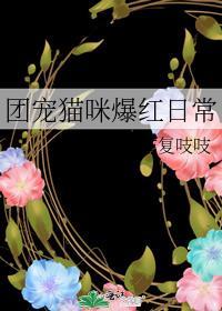 团宠小猫咪全集一口气看完