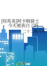 阿卡姆骑士最后去哪了