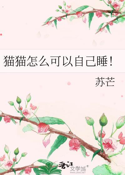 猫咪怎样睡觉的