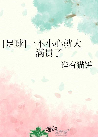足球一不小心得了大满贯免费