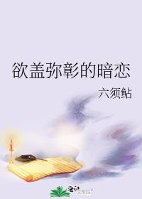 欲盖弥彰by mark