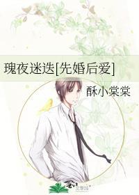 夜玫瑰x人物