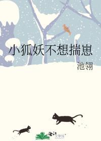 狐妖小札 全文阅读