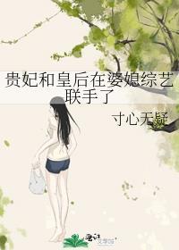 贵妃与皇后母家