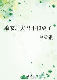 败家子娶公主的