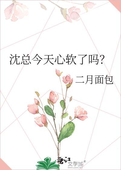 沈总裁全本合集