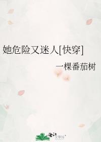 裙钗之下无删减版TXT笔趣阁