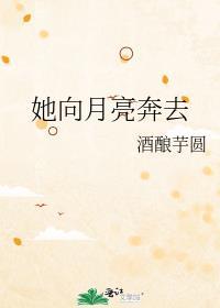 月亮向她坠落全文免费阅读