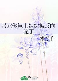 带龙傲天崽崽by忘书