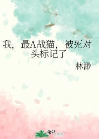 我最A战猫被死对头标记了