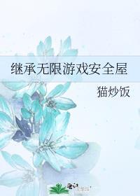 继承无限游戏安全屋主