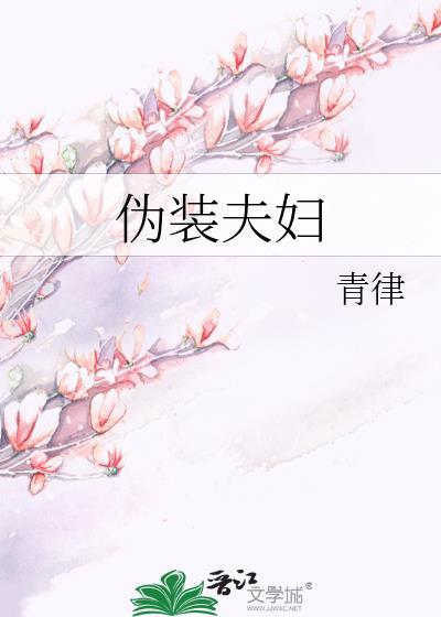 伪装夫妇2026电视剧免费观看