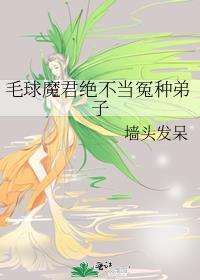 毛球恩
