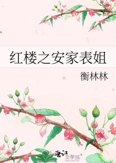 红楼之林家继子格格党