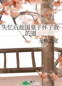 失忆后我成了敌国皇后