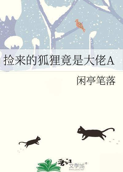 坏蛋在哪看