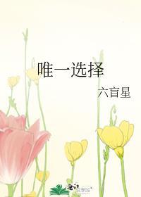 唯一选择什么意思