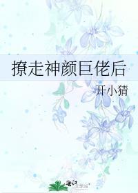 撩走神颜巨佬后免费阅读全文