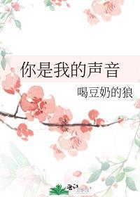 攻略任务100个