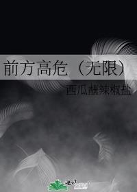 前方高危(无限)免费阅读
