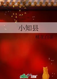 小知县by百度全文阅读