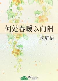 何处暖阳不倾城全文免费阅读目录